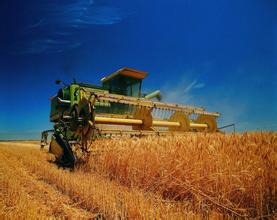 益海嘉里王巍：搭“一帶一路”建設快車加快農(nóng)業(yè)“走出去”