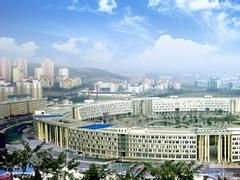 越開放越發展：濟南市高新區開放發展紀實