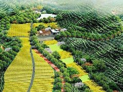 移動(dòng)儲(chǔ)能產(chǎn)業(yè)園落戶湖南常德 計(jì)劃總投資達(dá)31.6億元