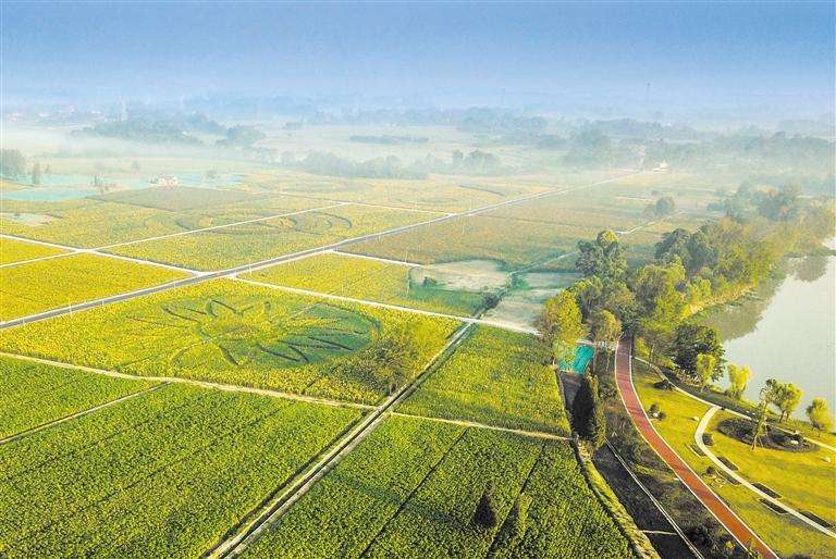 張?zhí)熳簦亨l(xiāng)村振興應(yīng)重點(diǎn)研究關(guān)注的9類鄉(xiāng)村產(chǎn)業(yè)