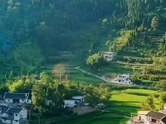 2020年沙市區(qū)紡織服裝產(chǎn)業(yè)集群工作推進(jìn)會(huì)召開