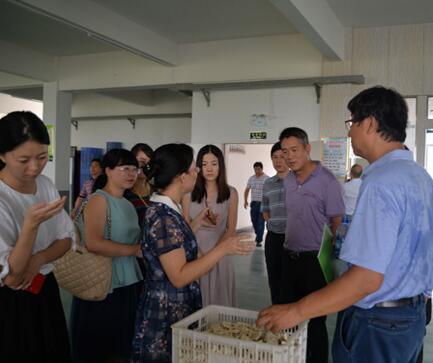 中國高新技術產業經濟研究院來新化考察調研