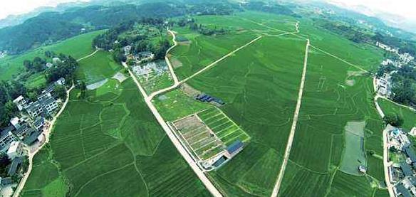 大健康事業(yè)是國家趨勢，現(xiàn)今走在前面的人，將是未來的主角！