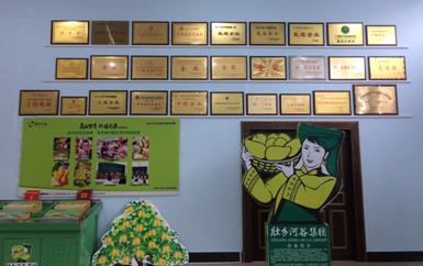 “芒果百色，香飄百地” 國(guó)內(nèi)首家芒果精深加工特色產(chǎn)業(yè)基地申報(bào)進(jìn)行時(shí)