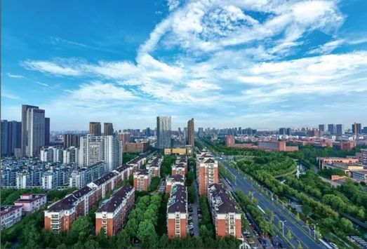 嘉興經(jīng)開區(qū)大力推進“綠城花海”建設(shè)