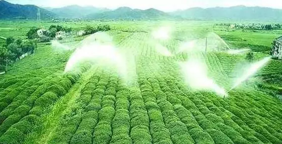 重磅！2019中央一號文件即將發布！大農業領域迎來新機遇