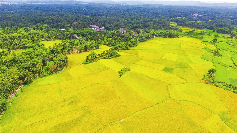 美國(guó)大農(nóng)場(chǎng)、以色列滴灌、德國(guó)高科技……農(nóng)業(yè)大國(guó)哪家強(qiáng)？