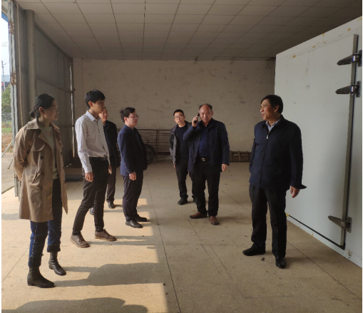 黃花菜里定乾坤，祁東縣全力爭創(chuàng)國家現(xiàn)代農業(yè)產業(yè)園