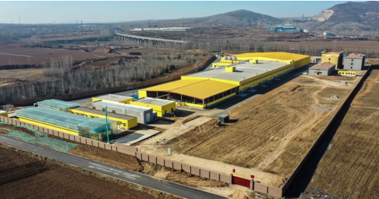 錦繡“五彩農業”，高平市爭創國家 現代農業產業園吹響集結號