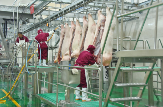 錦繡“五彩農業”，高平市爭創國家 現代農業產業園吹響集結號