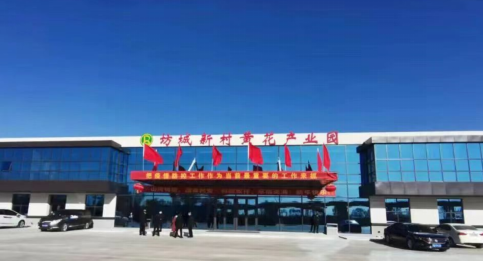 大同黃花,忘憂云州——云州區(qū)積極申創(chuàng)國(guó)家農(nóng)業(yè)現(xiàn)代化示范區(qū)