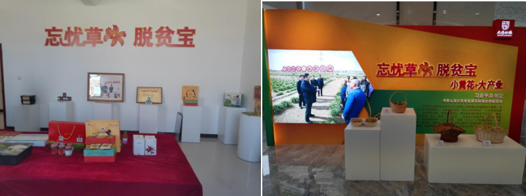 打造農(nóng)業(yè)綠色發(fā)展典范，云州區(qū)創(chuàng)建國家農(nóng)業(yè)綠色發(fā)展先行區(qū)勢在必行